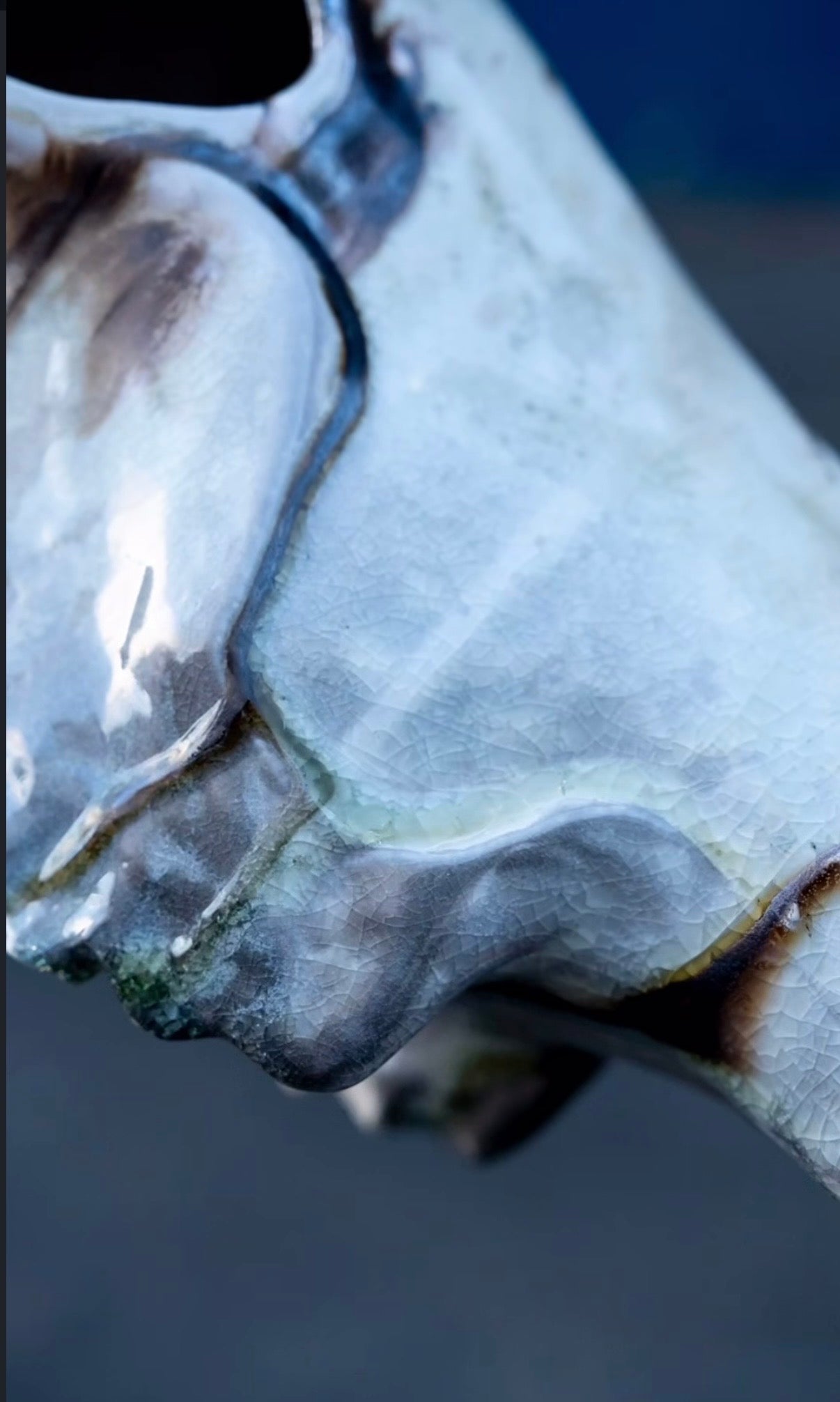 Wood Fired Porcelain Cow Skull
