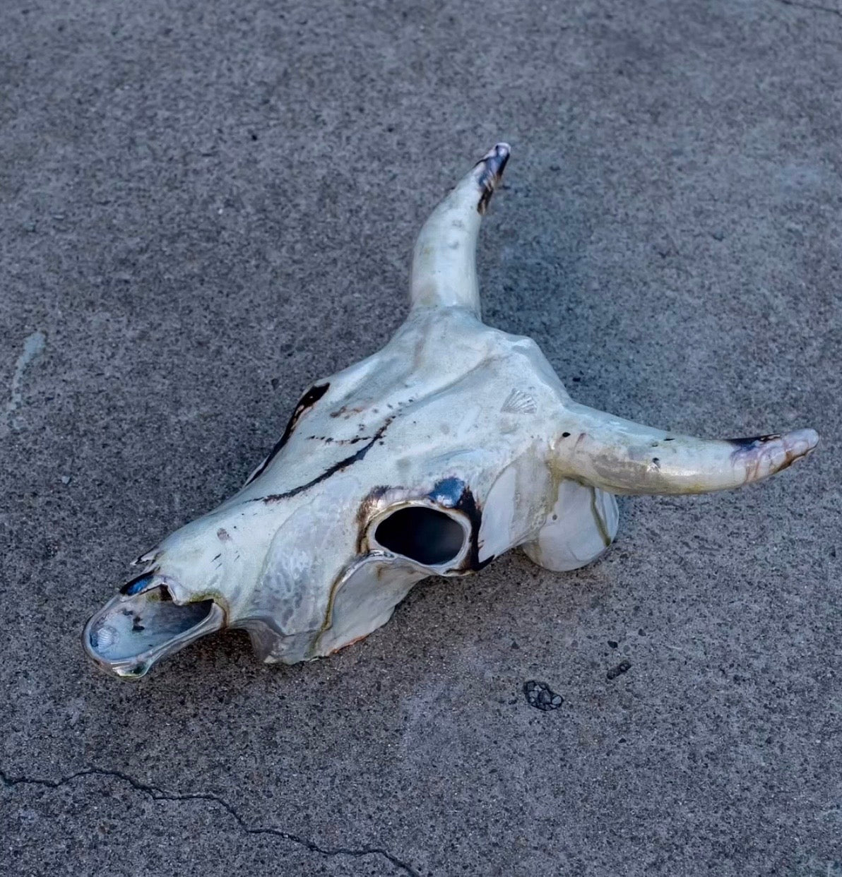 Wood Fired Porcelain Cow Skull