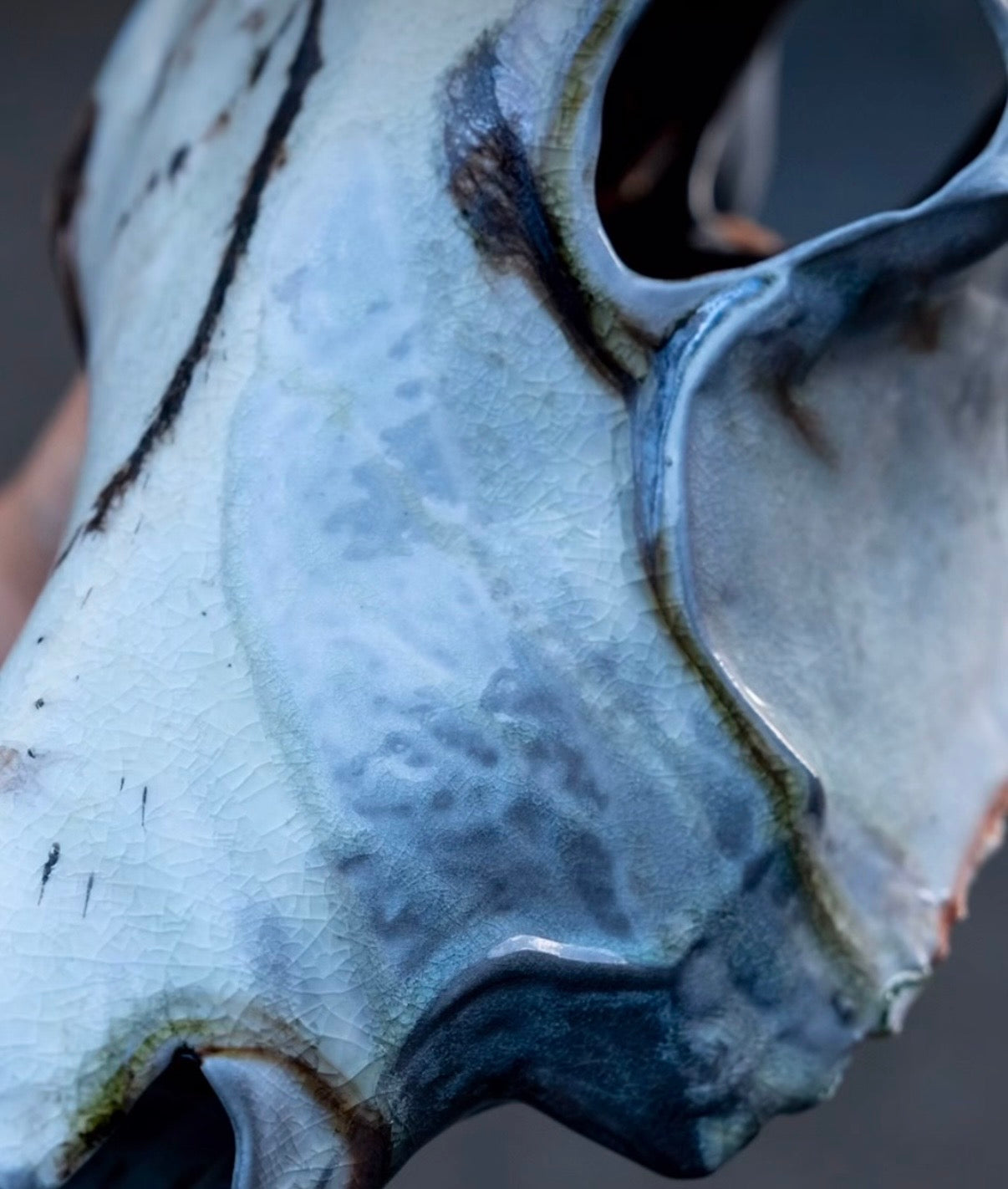 Wood Fired Porcelain Cow Skull