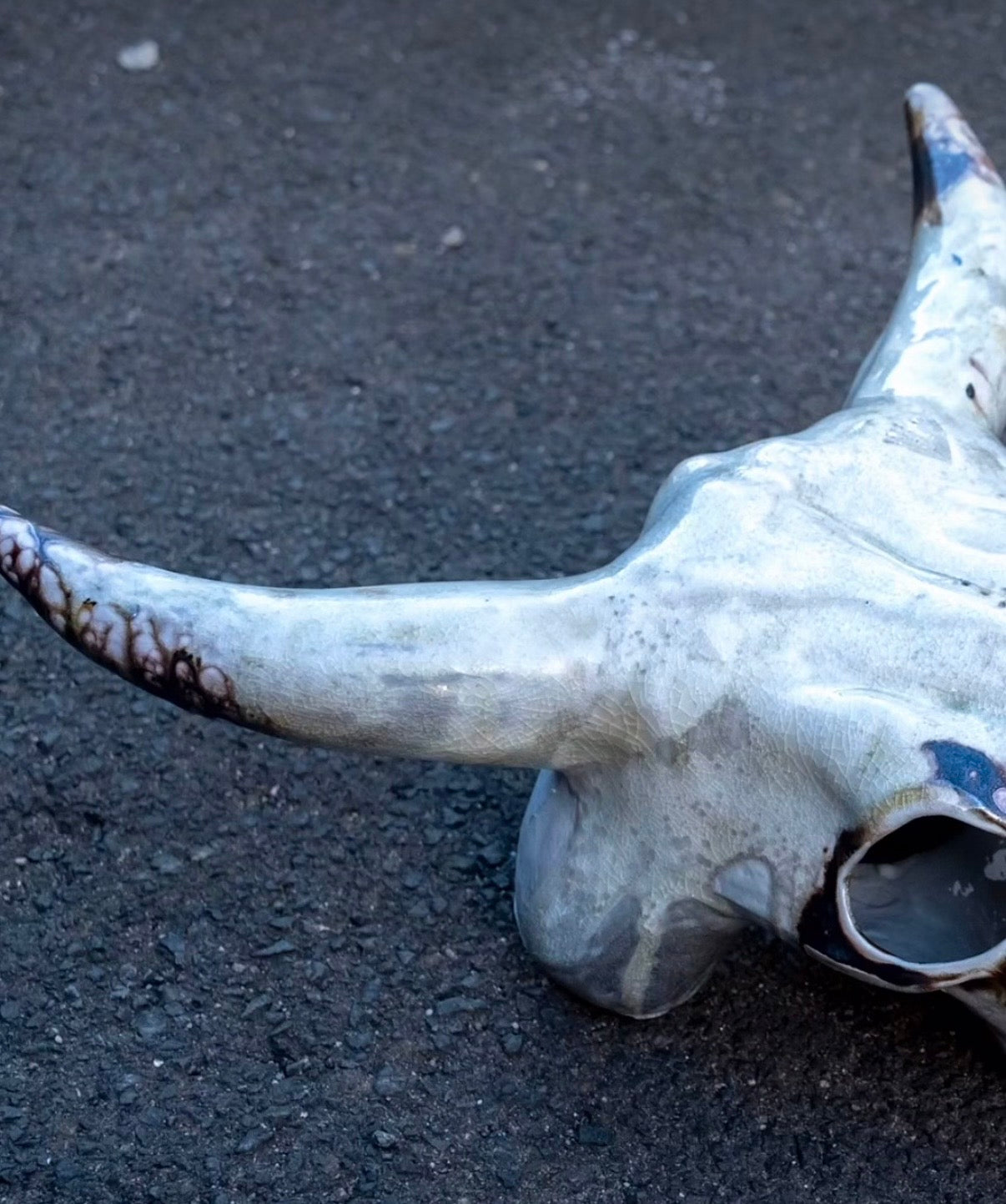 Wood Fired Porcelain Cow Skull